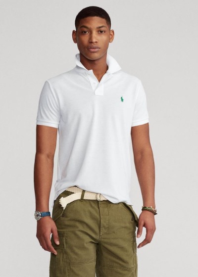 Men's Polo Ralph Lauren The Earth Polos | 613452TWJ